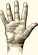 5 fingers